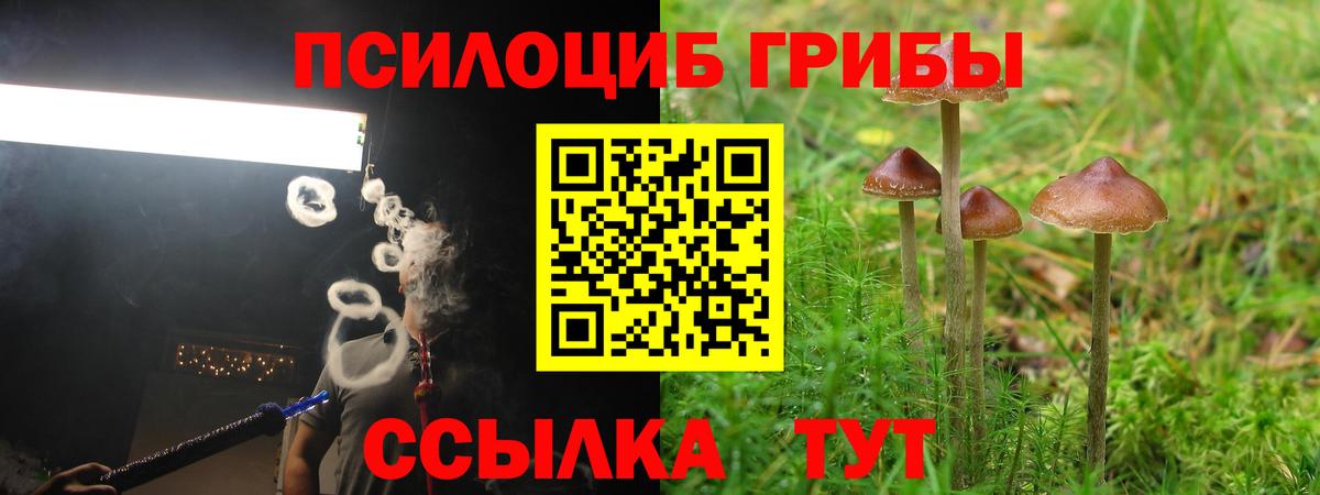 купить наркотики сайты  Псилоцибиновые грибы ЛСД  Вход с VPN  Артёмовский 